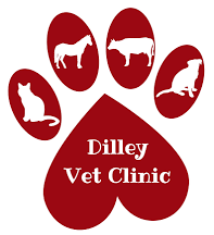 Dilley Veterinary Clinic